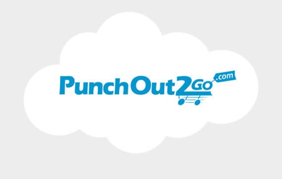 Punchout2Go